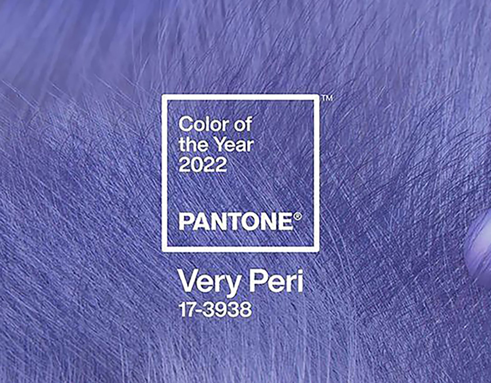 La couleur de l'année 2022 par Pantone